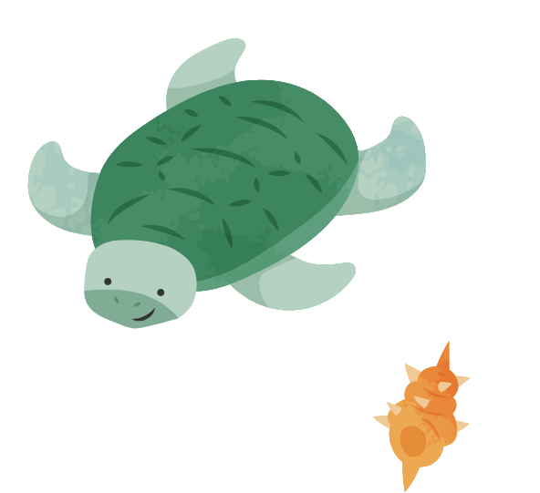 海の生き物